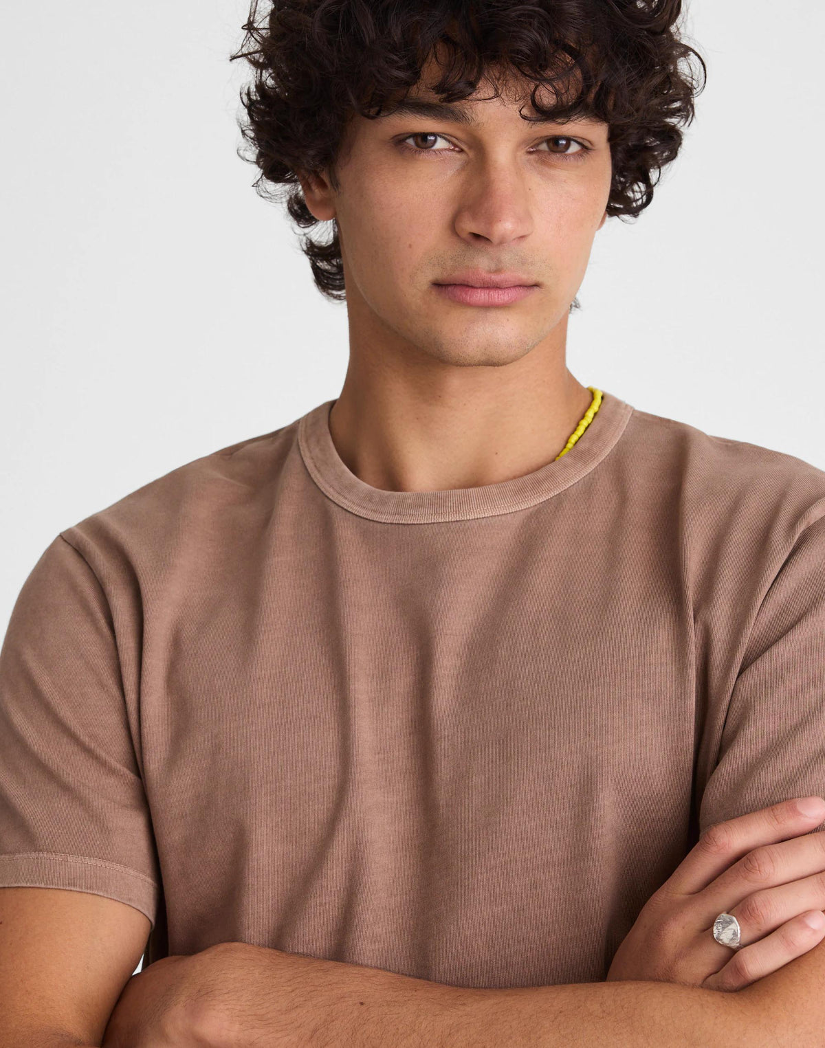 Madewell Garment-Dyed Allday Crewneck Tee Iced Mocha
