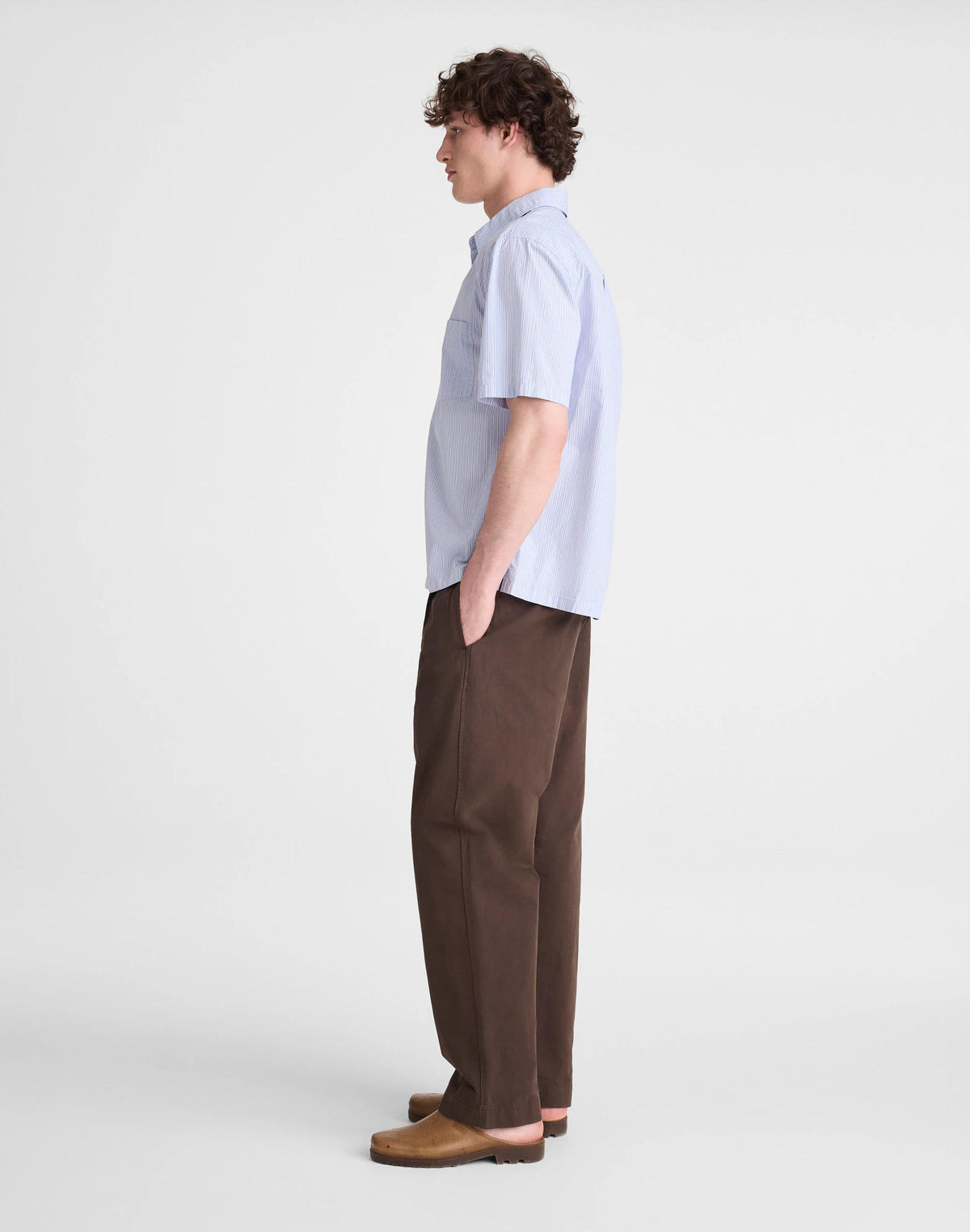 Madewell Pleated Chino Pants in Uniform Twill Chocolate
