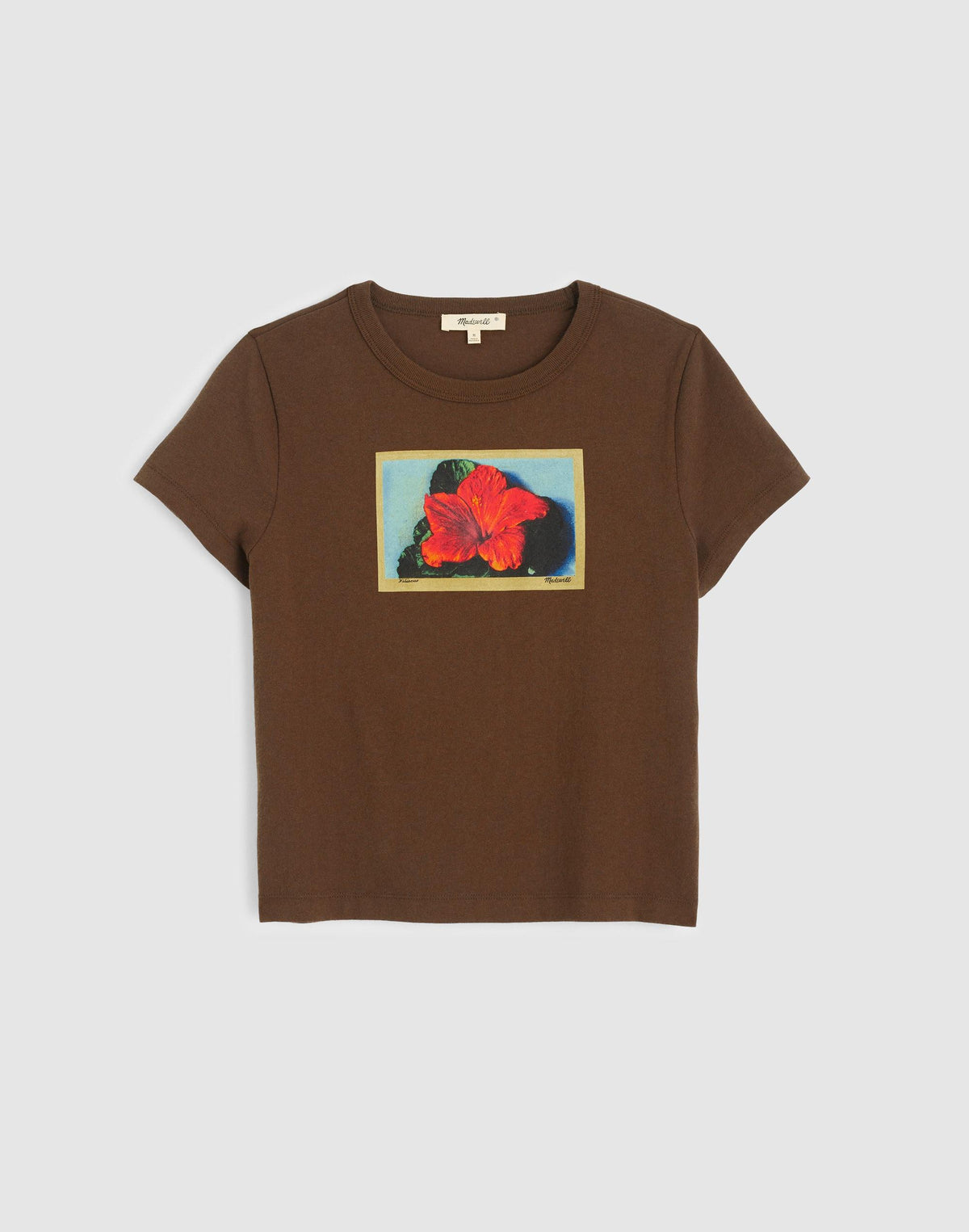 Madewell The Relaxed Baby Tee in Vintage Jersey Tropical Graphic Print