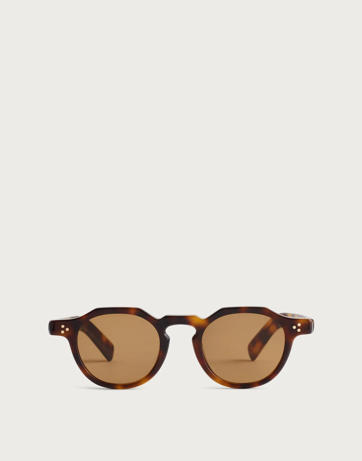 Madewell Wooster Sunglasses Classic Tort