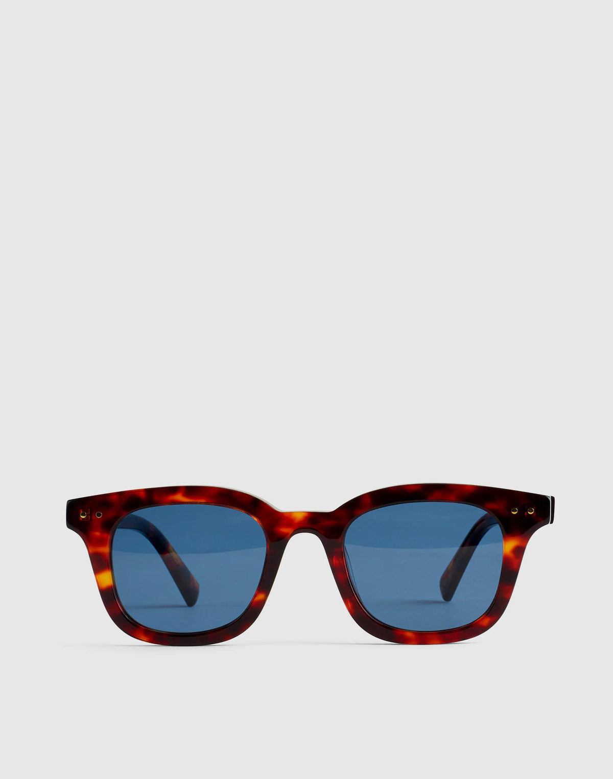 Madewell The Norah Sunglasses Dark Tortoise