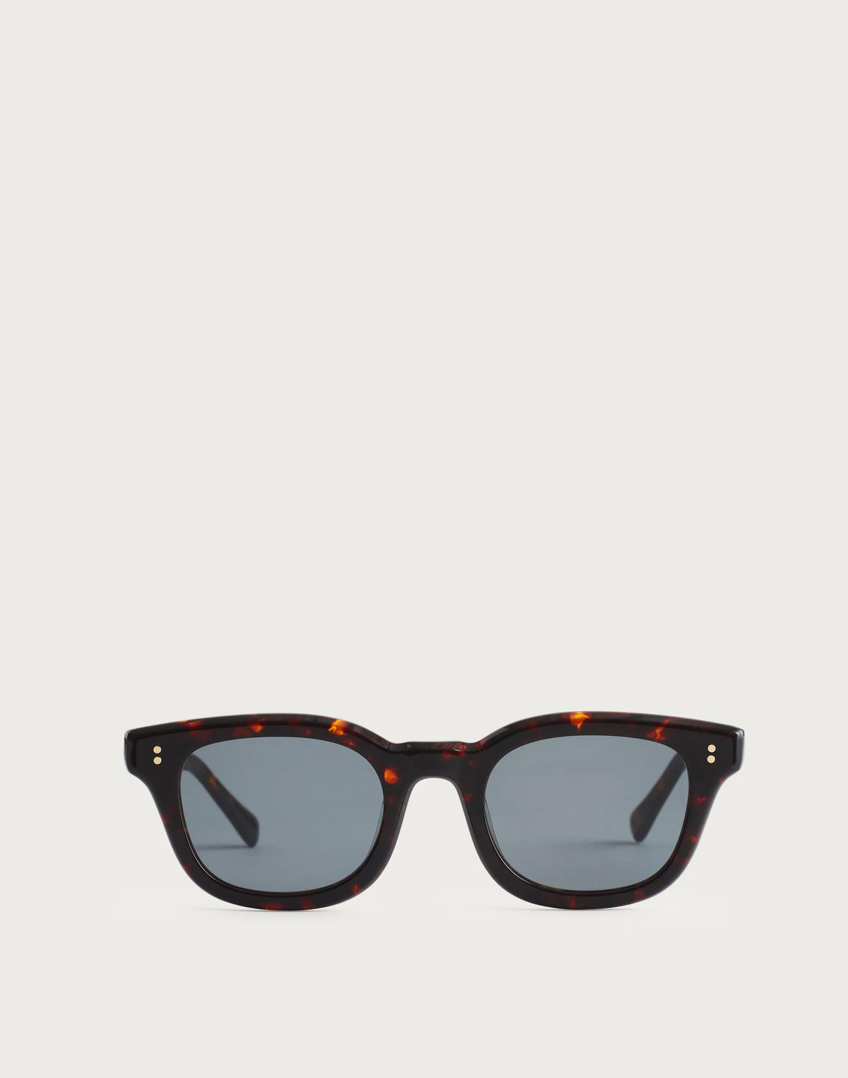 Madewell Rivington Sunglasses Multi Tort