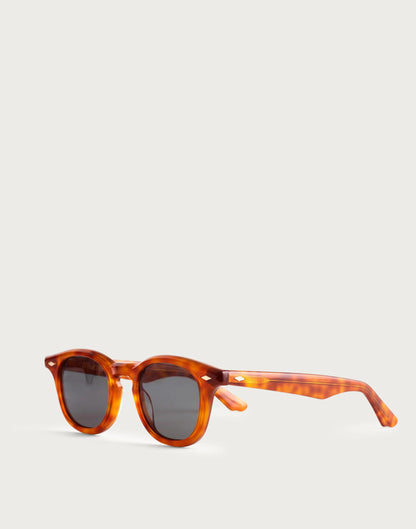 Madewell Bleecker Sunglasses Pecan Tort