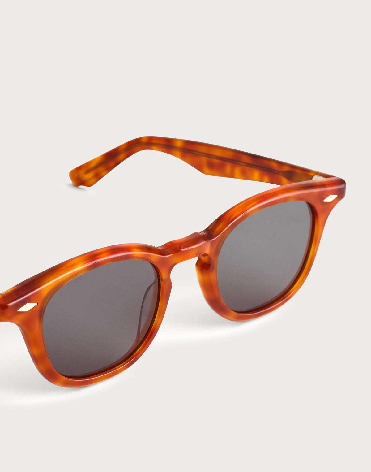 Madewell Bleecker Sunglasses Pecan Tort