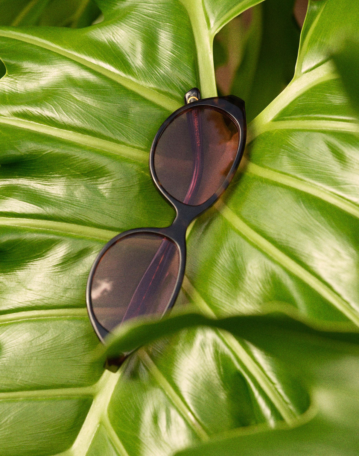 Madewell The Solina Oval Sunglasses Whisky Tort