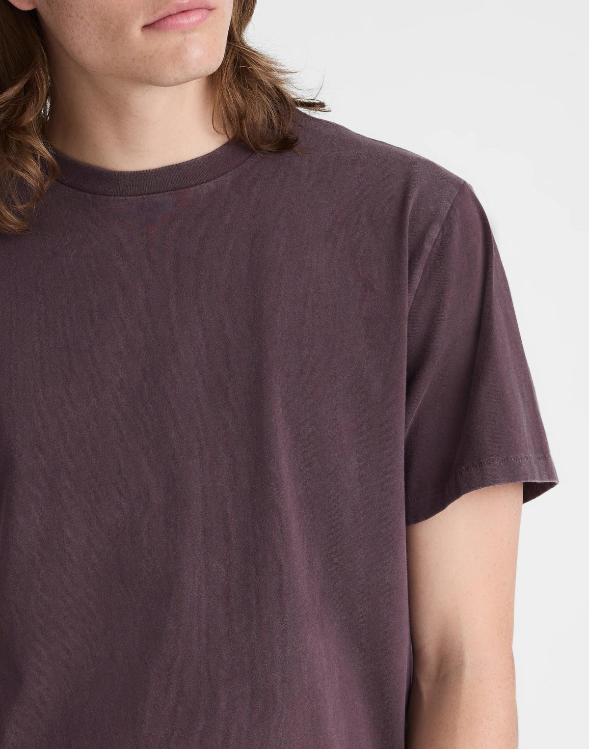 Madewell The Rockaway Tee Rum Raisin