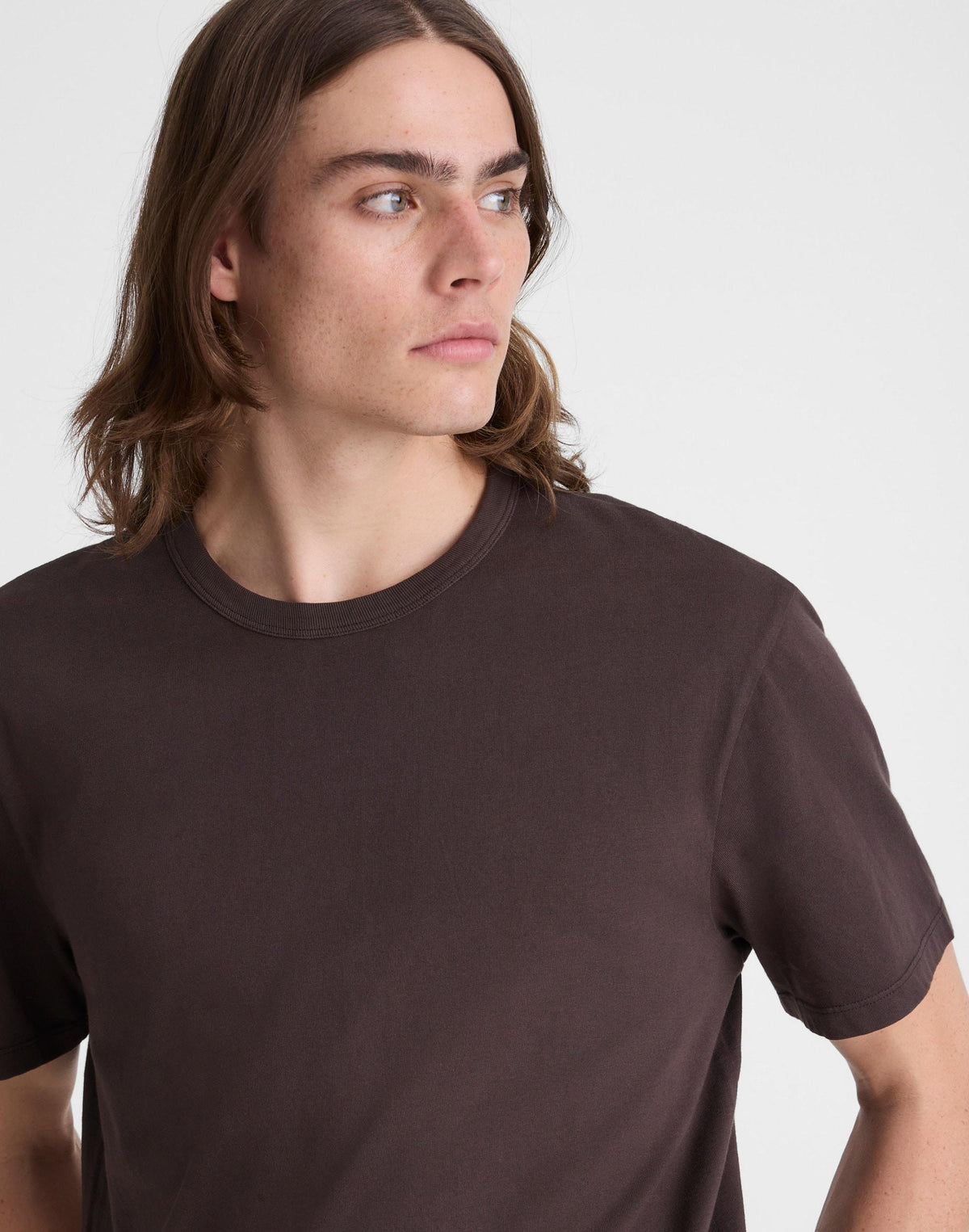 Madewell Garment-Dyed Allday Crewneck Tee Dark Brown