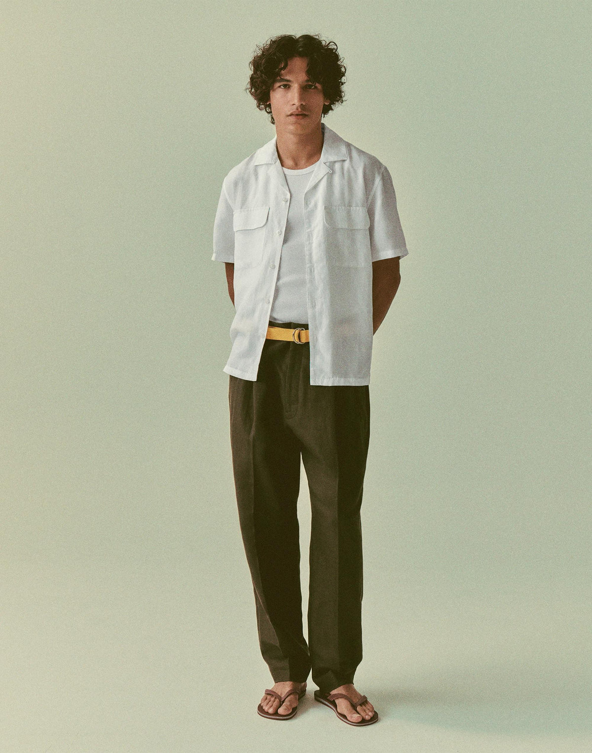 Madewell Double-Pleated Trousers in Linen-Cotton Blend Dark Brown