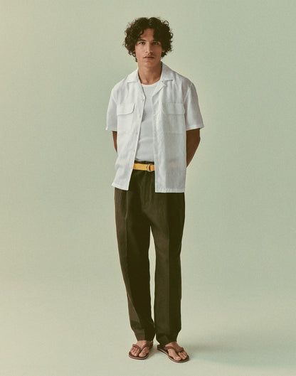 Madewell Double-Pleated Trousers in Linen-Cotton Blend Dark Brown
