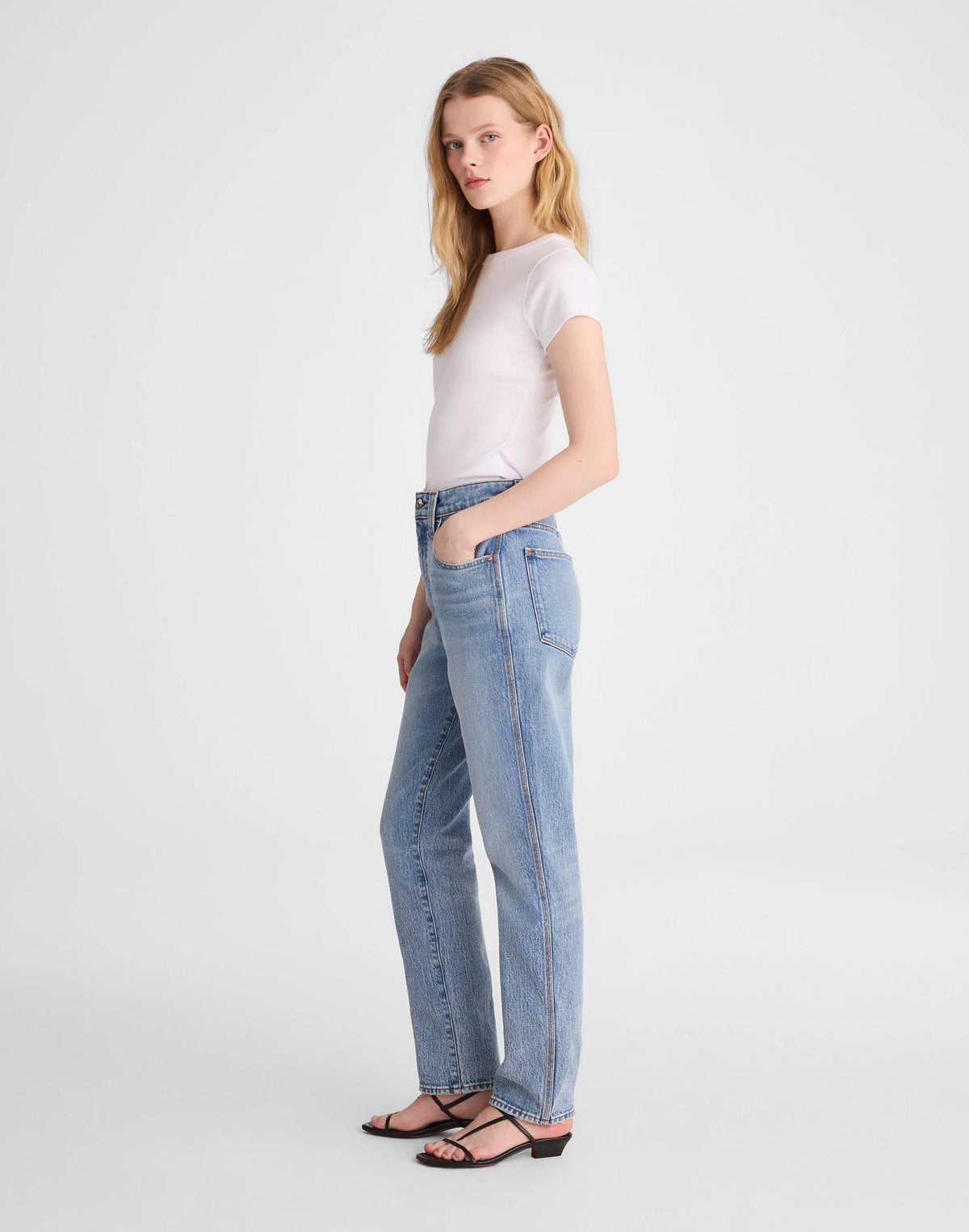 Madewell The Short Perfect Vintage Jean Raebrook Wash