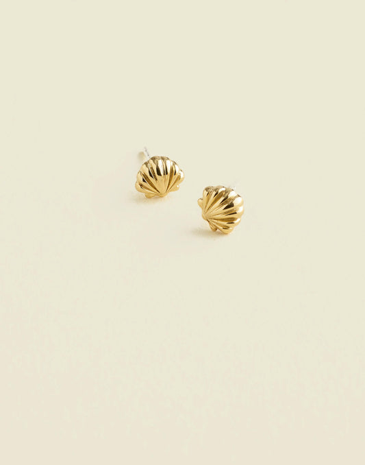Madewell Demi-Fine Shell Stud Earrings 14k Gold
